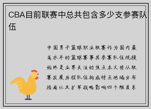 CBA目前联赛中总共包含多少支参赛队伍