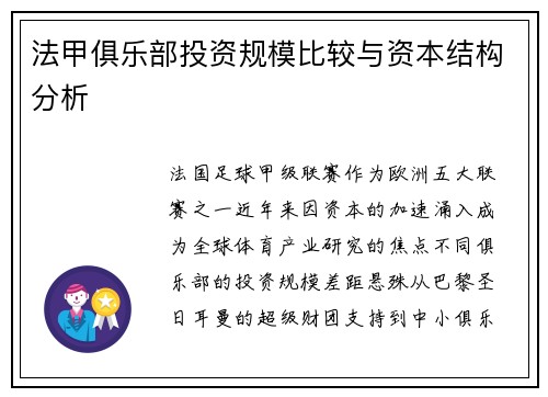 法甲俱乐部投资规模比较与资本结构分析